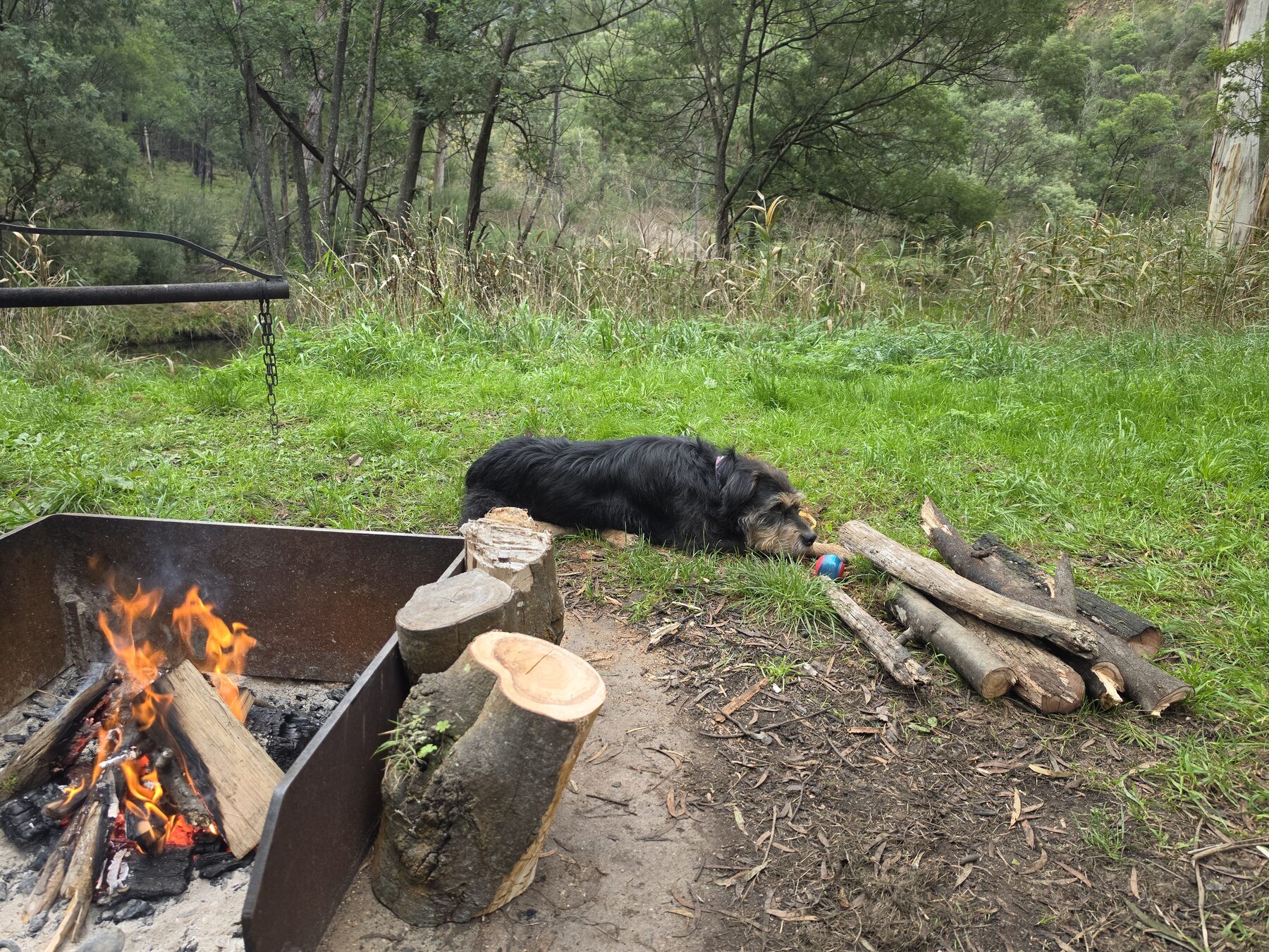 Diego resting by a campfire.